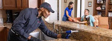 Best Residential Pest Control  in Nett, MO